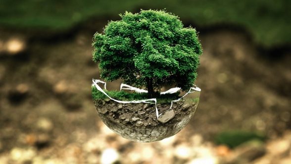 100% naturale biologico