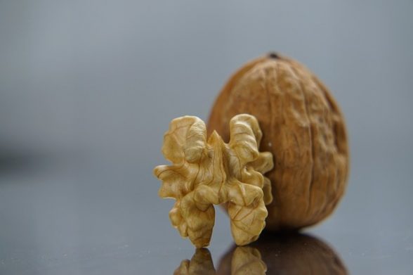 alimenti integrare dieta