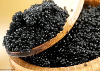 crema al caviale b good