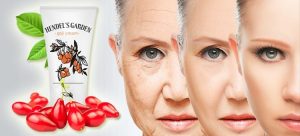 hendels garden goji cream