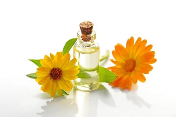 scelta olio barba