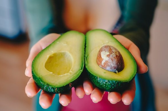 ingredienti crema estratto avocado