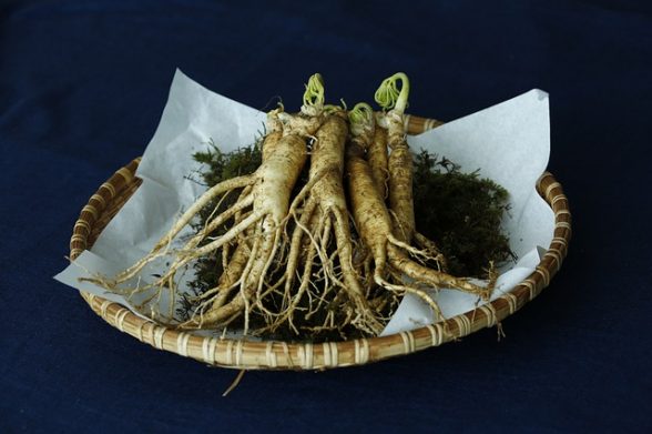 maschera dorata ingredienti ginseng