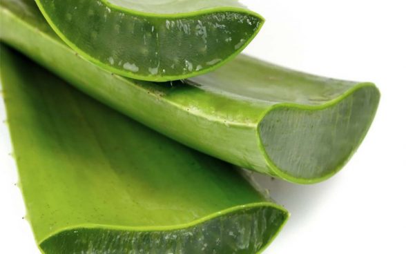 gel aloe vera
