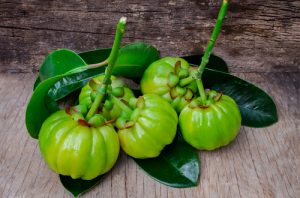Garcinia Cambogia